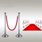 Premium Crowd Control Rope Barriers for Event Management and Safety6